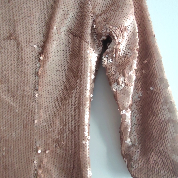 Lulu's Delightful Ways Rose Gold Sequin Dress - Picture 5 of 5